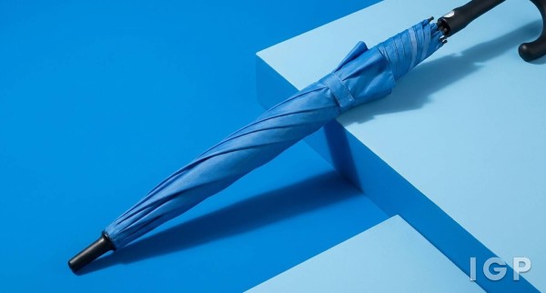 สถาบันการศึกษาวิคตอเรีย
