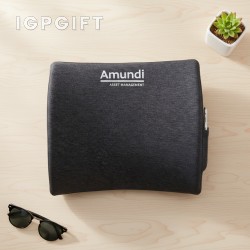 หมอนรองหลังแบบตามหลักสรีรศาสตร์