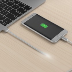 สายข้อมูลแม่เหล็ก Apple