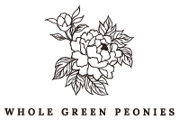 IGP(Innovative Gift & Premium) | Whole Green Peonies