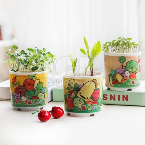 Vegetable and Fruit Plastic Potted