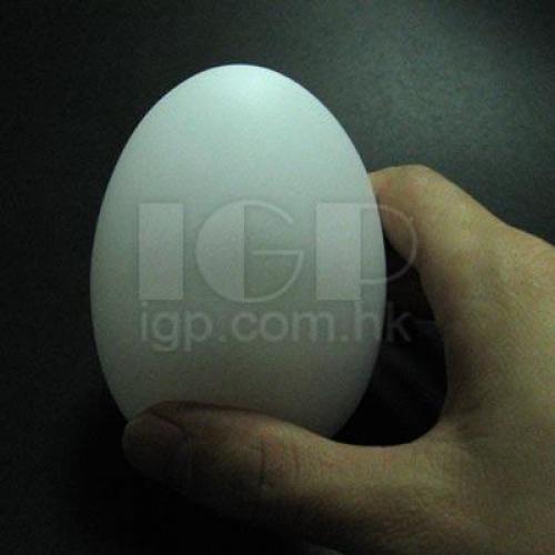 Egg Light