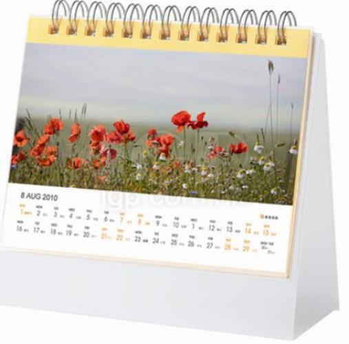 PP Plastic Calendar