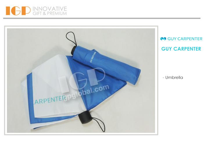 IGP(Innovative Gift & Premium) | Guy Carpenter